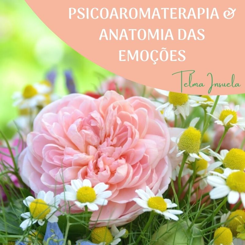 Psicoaromaterapia & Anatomia das Emoções